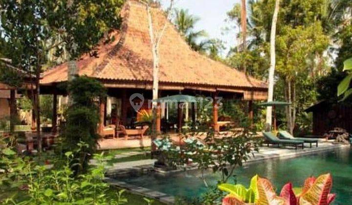 TOP URGENT DI JUAL VILLA LOKASI PAYANGAN UBUD GIANYAR VIEW HUTAN . 1