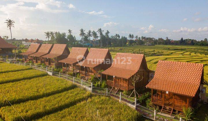 TOP URGENT DI JUAL VILLA COMPLEX DENGAN KONSEP JOGLO VIEW SAWAH LOKASI SESEH MUNGGU MENGWI BADUNG  2