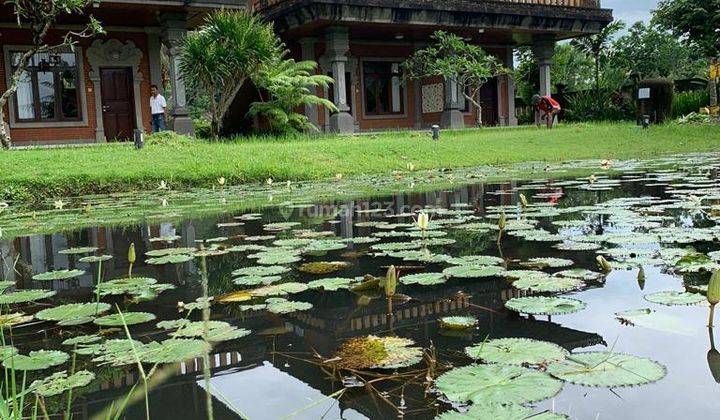 TOP URGENT FOR SALE RESORT HOTEL LOCATION UBUD GIANYAR WITH CHARMING PAIRY VIEWS  2