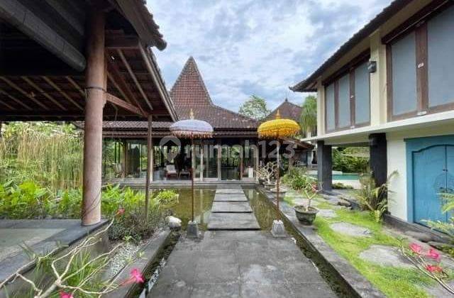 Hot List for Sale of Bonus Land for Building Villa View of Rice Fields Location Jalan Bumbak Dauh, Kerobokan, Badung, Bali 1