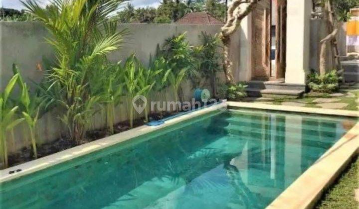 Hot List Di Jual Villa Brand New View Sawah Lokasi Pejeng Ubud Gianyar 1