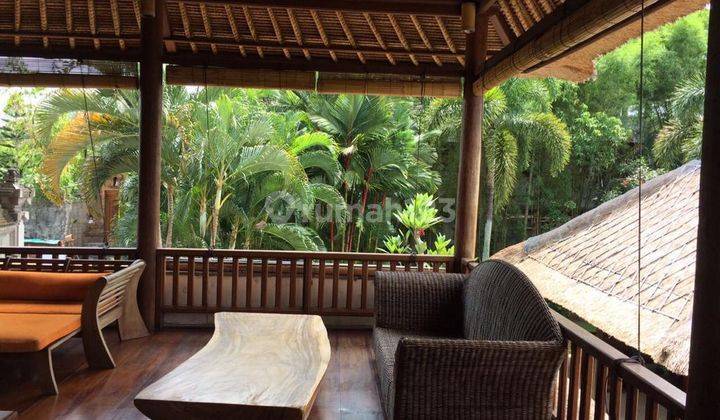 Hot List of Villas for Sale, Jalan Raya Andong Peliatan, Ubud, Gianyar 2