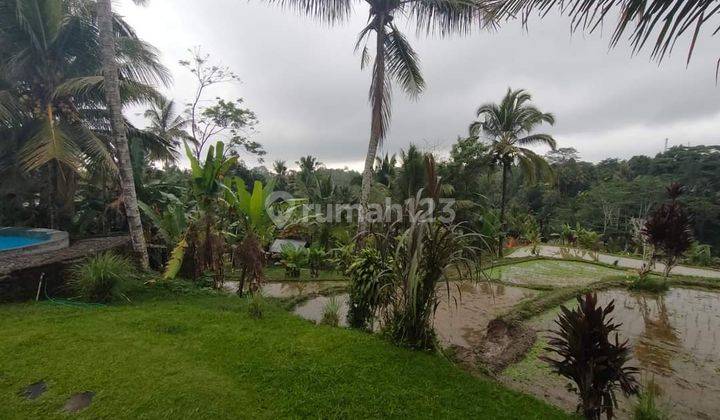 Hot List Di Jual Villa Lokasi Tegallalang Ubud Gianyar  2