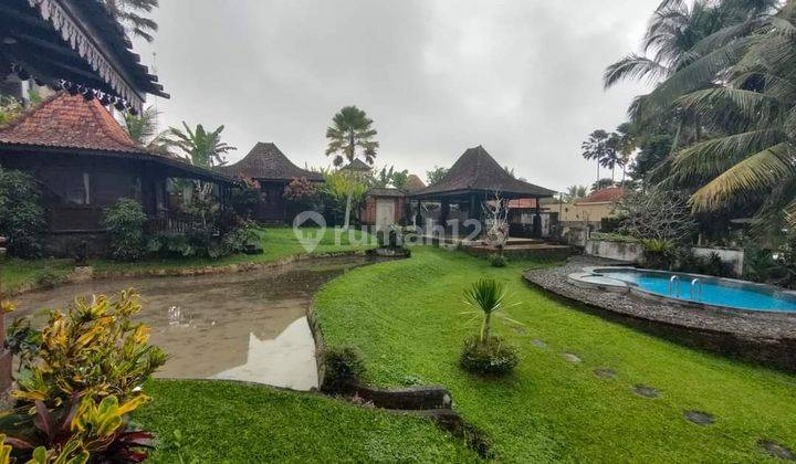 Hot List Di Jual Villa Lokasi Tegallalang Ubud Gianyar  1