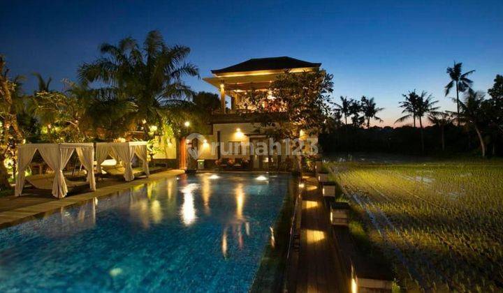 Hot List For Sale Luxury Villa View River And Rice Fields Villa Area East Gatsu Location East Denpasar 1