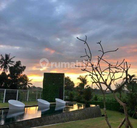 Hot List Di Jual Villa View Sawah Lokasi Pererenan Canggu Kuta Utara 2