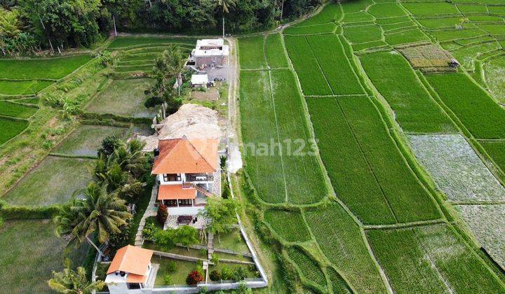 Hot List Di Jual Brand New Villa Lokasi Abiansemal Badung 1