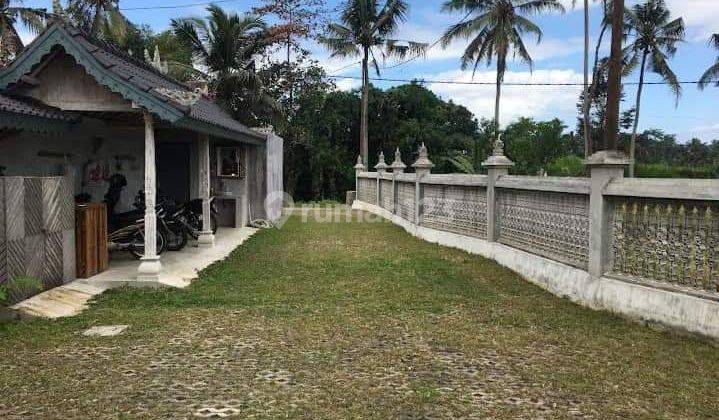 Hot List Di Jual Villa View Sawah Lokasi Pejeng Ubud Gianyar  2