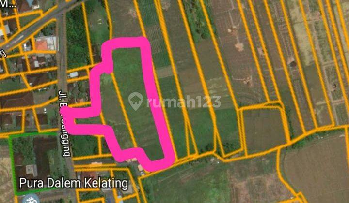 Hot List of Land for Sale Near the Beach Kelating Kerambitan Tabanan Location 2