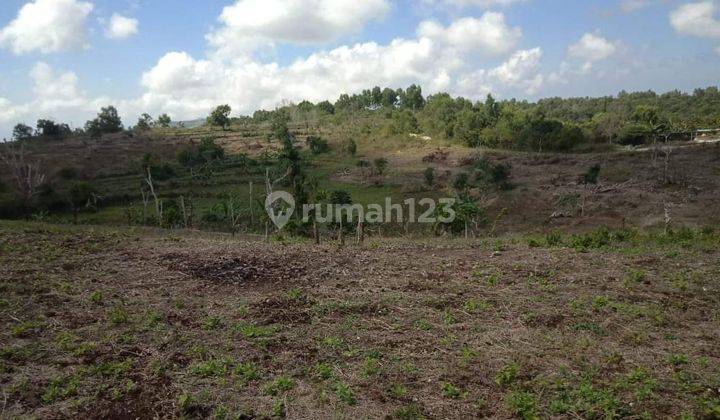 Hot List of Land for Sale in Nusa Penida Klungkung Location 2