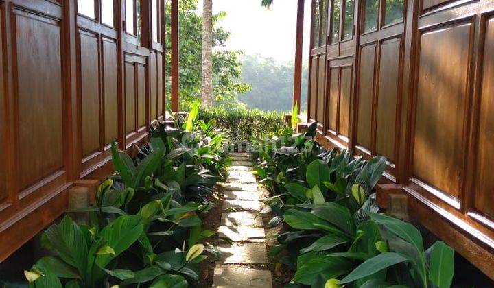 TOP URGENT FOR SALE VILLA COMPLEX TYPE JOGLO VIEW FOREST LOCATION PAYANGAN UBUD GIANYAR
 1