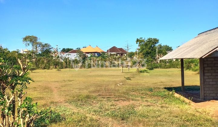 TOP URGENT DI JUAL TANAH LOKASI PANDAWA KUTUH KUTA SELATAN BADUNG
