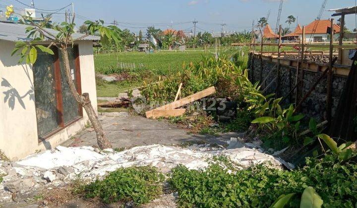 TOP URGENT LAND FOR SALE IN KEDAMPANG KEROBOKAN NORTH KUTA BADUNG LOCATION
 1