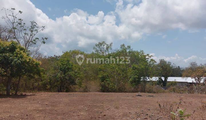 TOP URGENT FOR SALE LAND LOCATION KUTUH KUTAH SELATAN BADUNG 2