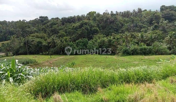 TOP URGENT DI JUAL TANAH LOKASI KLECUNG TEGAL MENGKEB TABANAN
 1