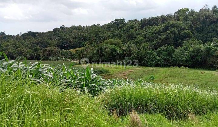 TOP URGENT DI JUAL TANAH LOKASI KLECUNG TEGAL MENGKEB TABANAN
 2