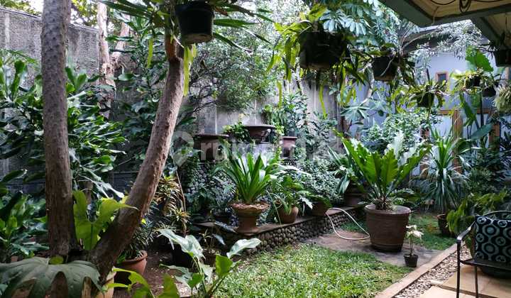 Dijual Rumah Bagus Area Kemang 2