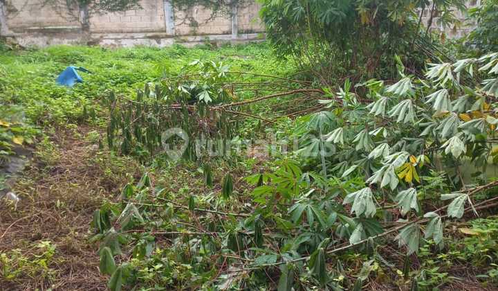 Kavling Muraaaaaaah,Maleo, Cluster ,Shm Kavling Muraaaaaaah,Maleo, Cluster ,Shm