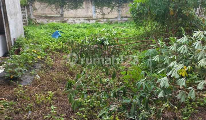 Muraaaaaah, Maleo Bintaro 9 Tanah Luas, LT 344 Hanya 3,4 Nego