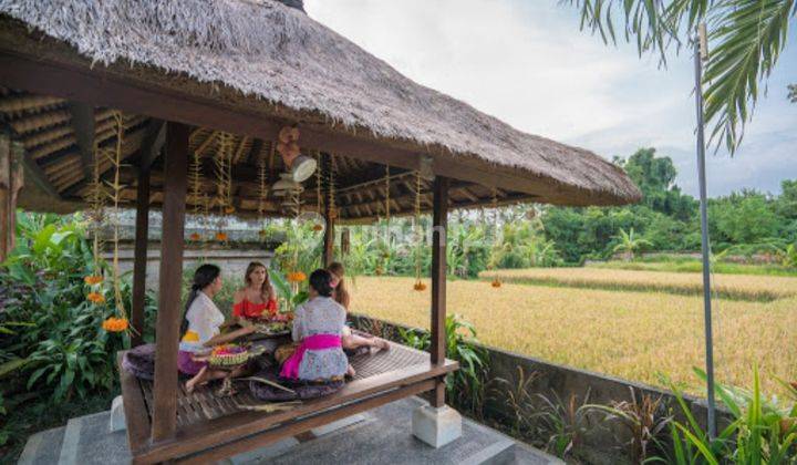 Hotel di Ubud, Gianyar SHM Dengan View Persawahan 2