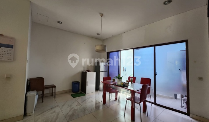 Zebrina.jgc Rapu.jual.cepat