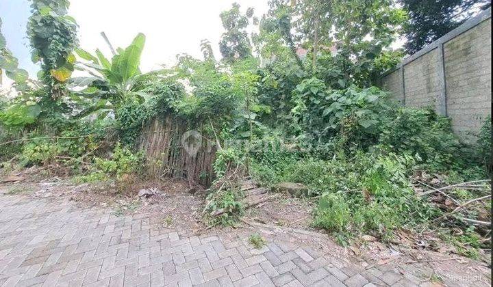 Tanah Murah Di Banyuwangi Lokasi Strategis 1