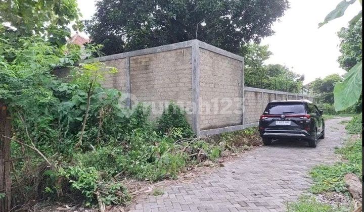 Tanah Murah Di Banyuwangi Lokasi Strategis 2
