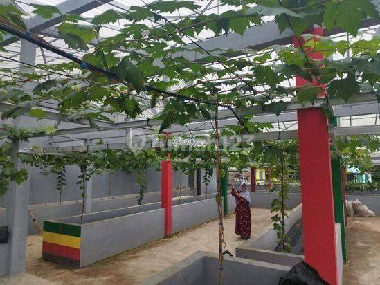 Dijual Rumah Asri Oasis Mewah di Kotakulon, Sumedang 2