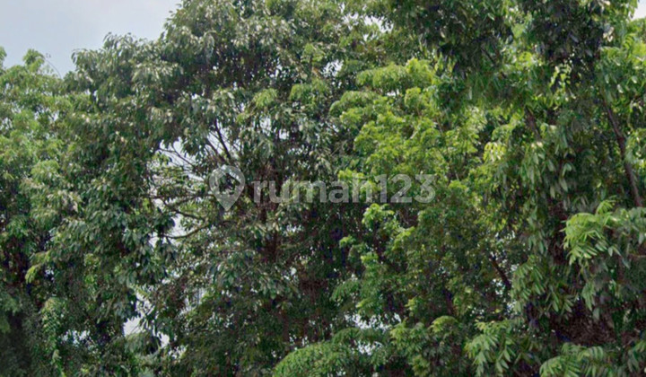 For Quick Sale: Ex-Cooking Oil Distributor Shop House in Cililitan, Kebon Pala, Makassar, East Jakarta 2