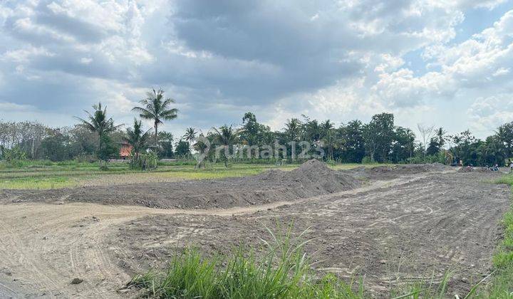 Tanah Murah Siap Bangun Belakang Kampus Uii Jogja 2