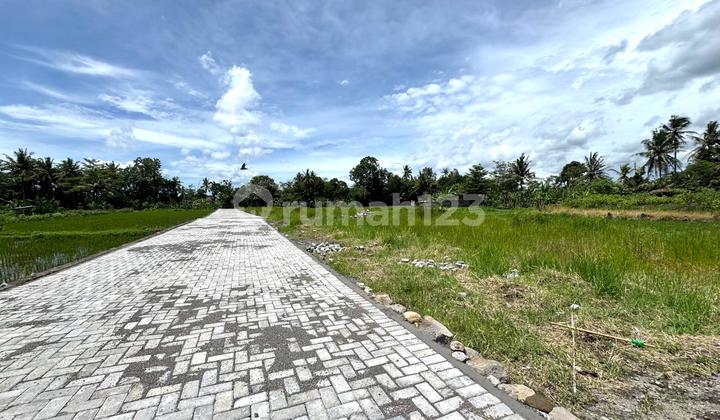 Tanah Murah Belakang Kampus Uii, SHM Ready Tanah Murah Belakang Kampus Uii, SHM Ready