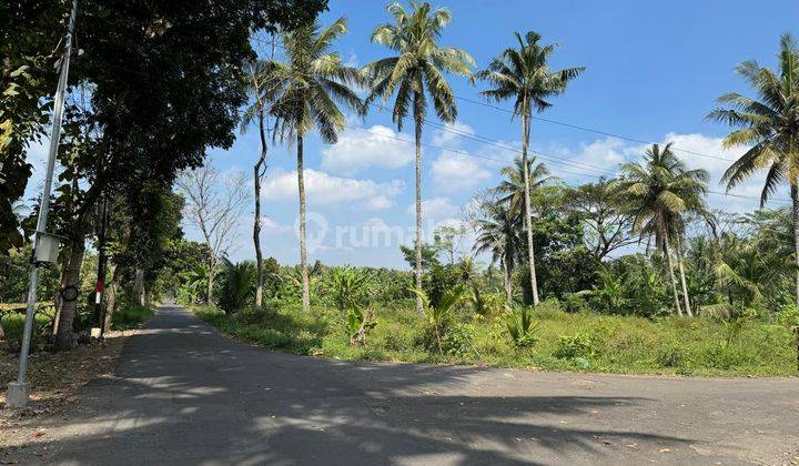 Prospek Bangun Kos, Tanah Murah Belakang Kampus Uii Jogja 1