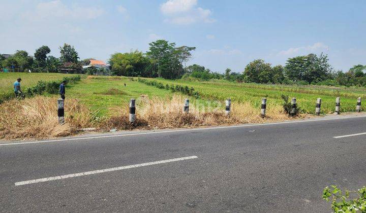 Tanah Murah Jogjakarta, Tepi Jalan Aspal, Dekat Kampus UMY 2