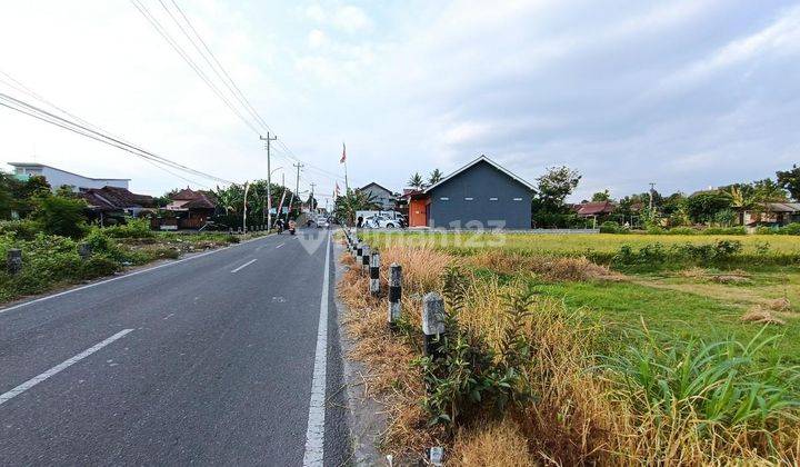 Tanah Murah Jogjakarta, Tepi Jalan Aspal, Dekat Kampus UMY 1