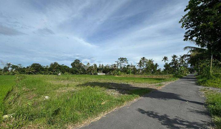 Tanah Murah Jogja, Legalitas SHM P View Sawah 2