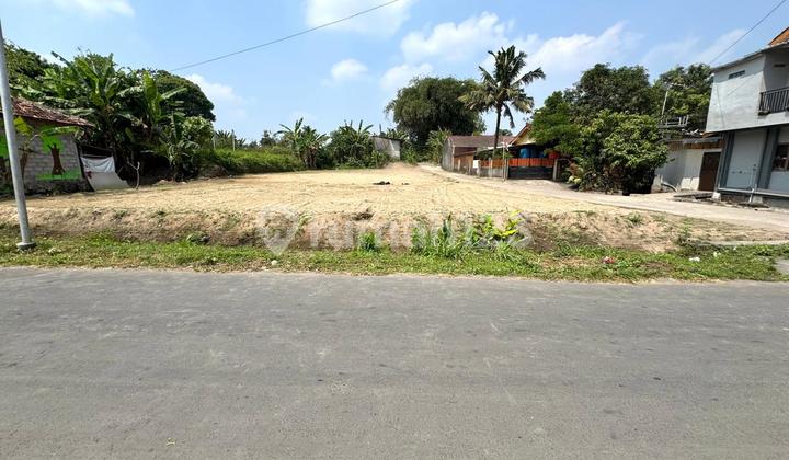 Prospects for Building a Villa/Homestay, Strategically Located Roadside Land