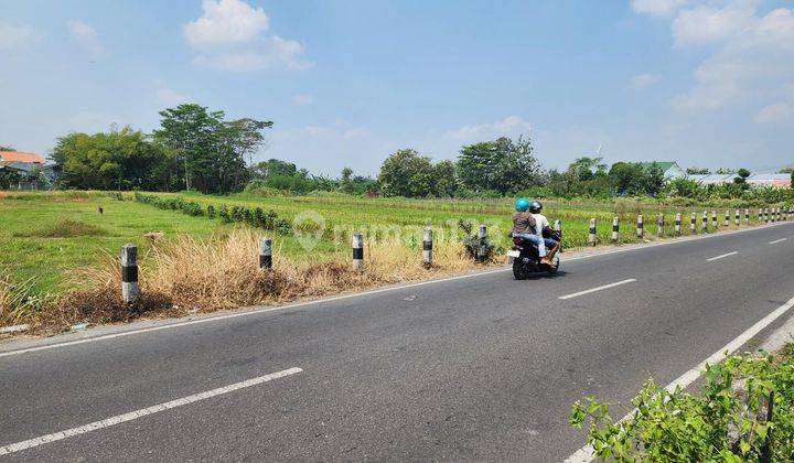 Tanah Murah di Godean Sleman, Tepi Jalan 3 Juta an 1