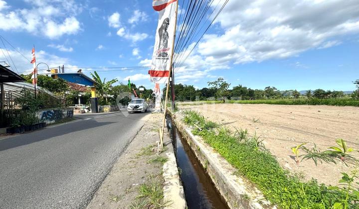 Wide Asphalt Roadside, Affordable Land in Jogja Ready to Build Wide Asphalt Roadside, Affordable Land in Jogja Ready to Build