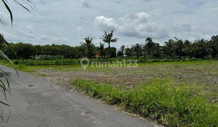 Tanah Murah Jogjakarta, Prospek Bangun Villa homestay 2