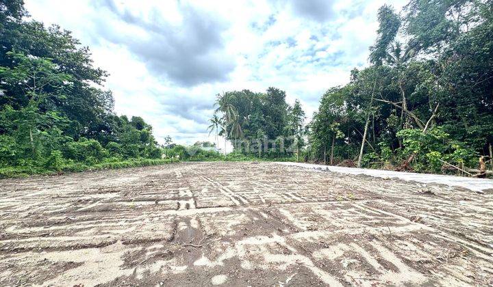 Tanah Murah Jogja Belakang Kampus, Prospek Investasi Kos 2