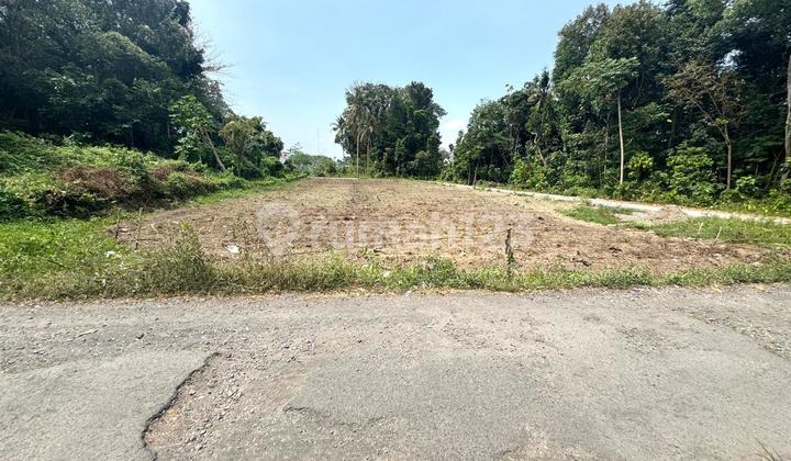 Strategis, Ring 1 Kampus Area Kos Premium UII Jogja