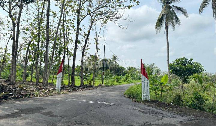 Termurah, Tanah SHM P Belakang Kampus Uii Jogjakarta 2