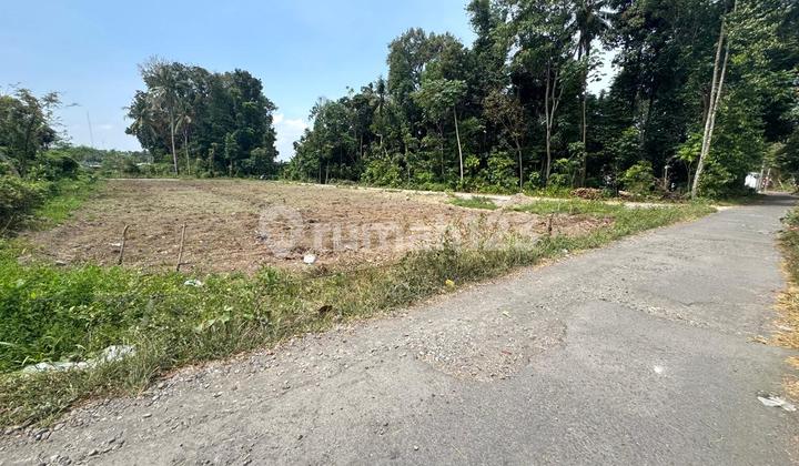 Strategis, Ring 1 Kampus Area Kos Premium UII Jogja