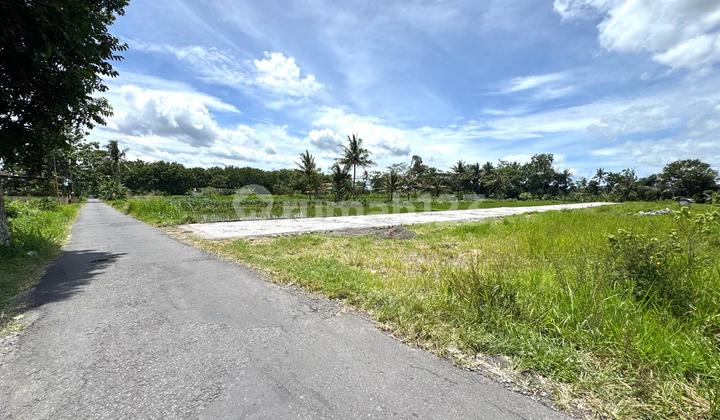 Jual Murah Tanah Jogja Utara, SHM Ready Siap AJB