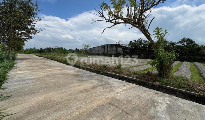 Tanah Kaliurang Sleman, SHM Pekarangan; 3 Juta-an Tanah Kaliurang Sleman, SHM Pekarangan; 3 Juta-an