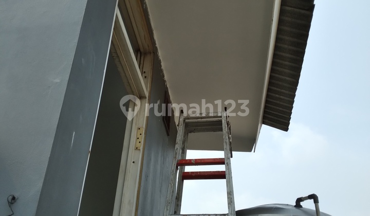 Ruko Rawa Buaya Sewa Murah 13