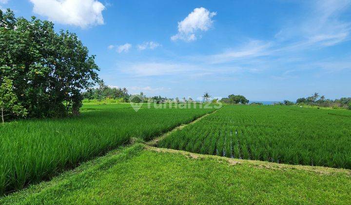 Tanah Kavling Beachfront View Sawah Laut di Pantai Belong Tabanan 2