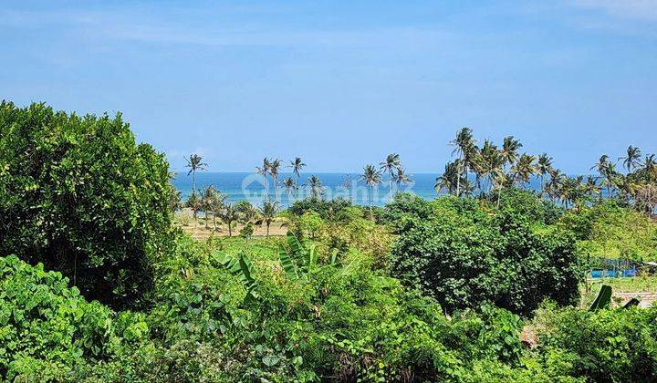 Beachfront Land Plot with Sea View Rice Fields at Belong Beach, Tabanan 2