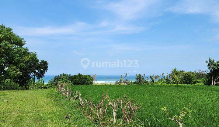 Beachfront Land Plot with Sea View Rice Fields at Belong Beach, Tabanan 1