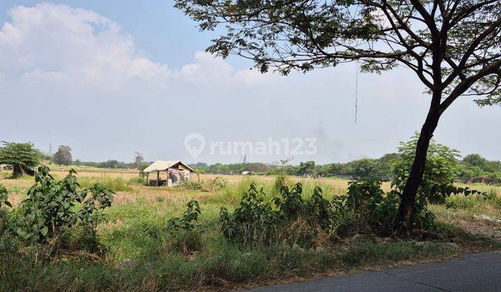 Dijual Tanah Lokasi Strategis di Cikarang 1